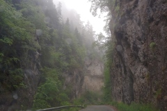 2019-06-06-14.04.52