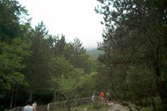 HPIM0670