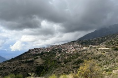 IMG_0305