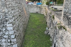 IMG_4690