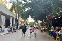 5th Avenue v Playa del Carmen