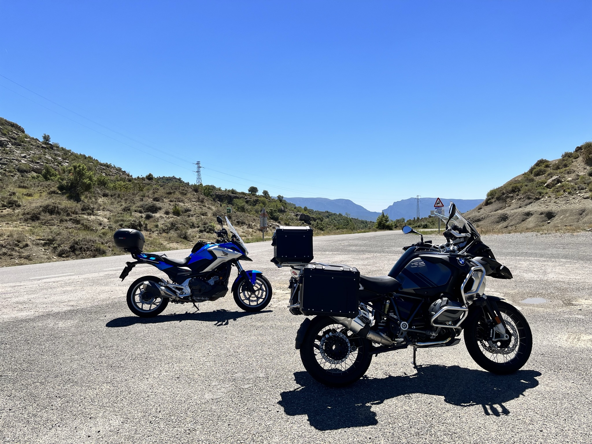 Bears travelling
